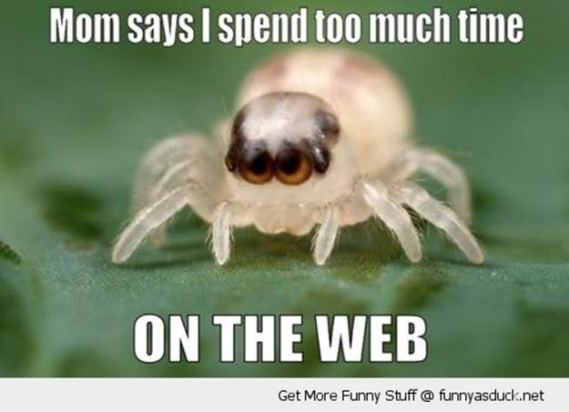 http://funnyasduck.net/wp-content/uploads/2012/10/funny-to-much-time-web-spider-pun-pics.jpg