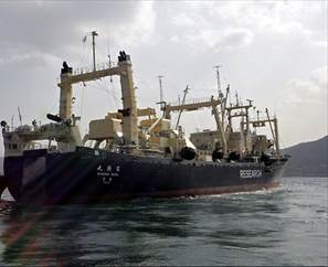 http://resources2.news.com.au/images/2011/12/06/1226215/363158-japan-whaling.jpg