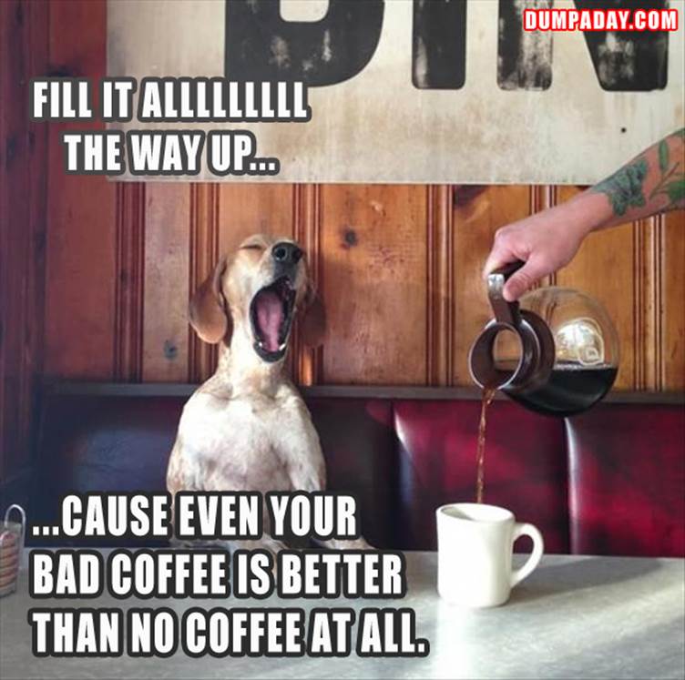 http://www.dumpaday.com/wp-content/uploads/2013/02/a-funny-pictures-dog-drinking-coffee1.jpg