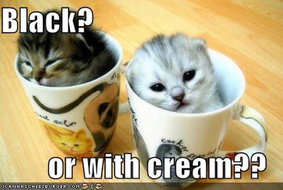 http://www.funnycoffee.com/blog/wp-content/uploads/2012/03/kittycups.jpg