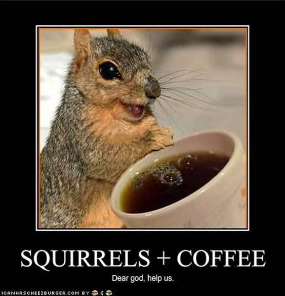 http://titaniums.files.wordpress.com/2009/02/funny-pictures-squirrels-have-discovered-coffee.jpg?w=450