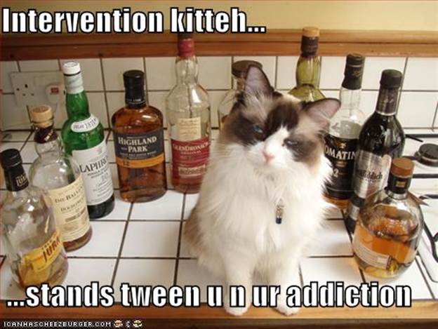 http://cckate.files.wordpress.com/2010/11/funny-pictures-intervention-cat-keeps-you-from-drinking1.jpg