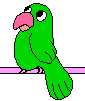  parrot  animation