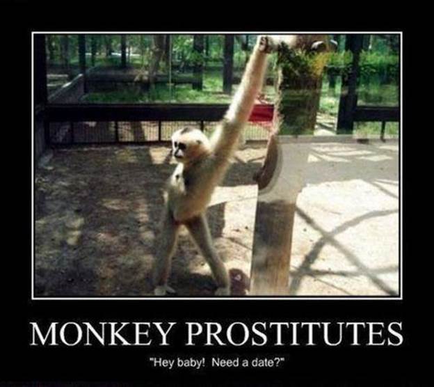 http://funnylists.thedailysatire.com/wp-content/uploads/2012/03/funny-monkey8.jpg