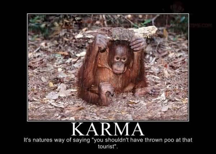http://www.amusingtime.com/images/06/funny-orangutan-karma-poster.jpg