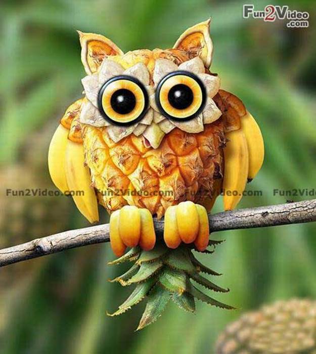 Pineapple Owl Funny Food