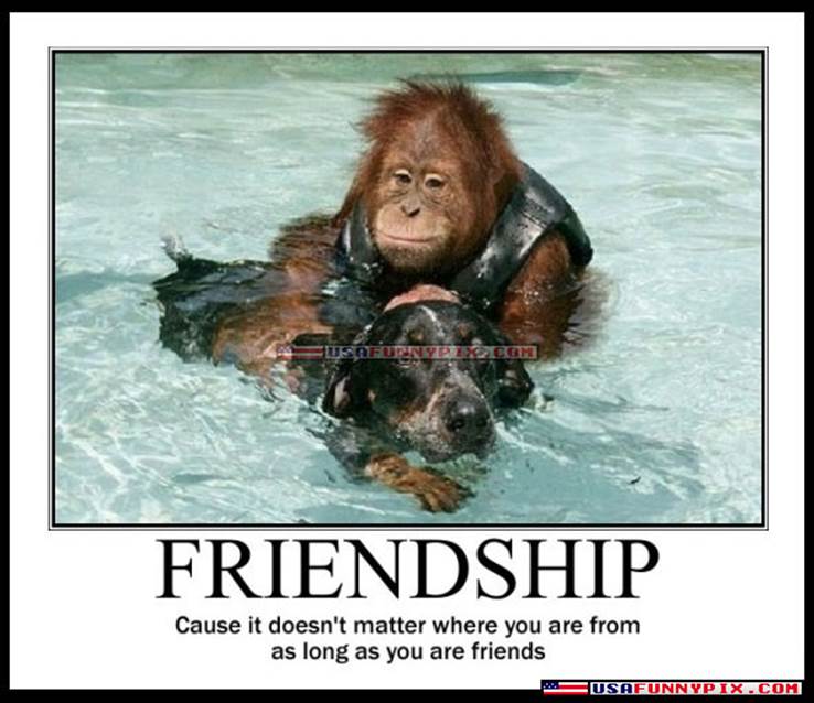 http://usafunnypix.com/pictures/p4/funny-monkey-and-dog-friendship-picture.jpg