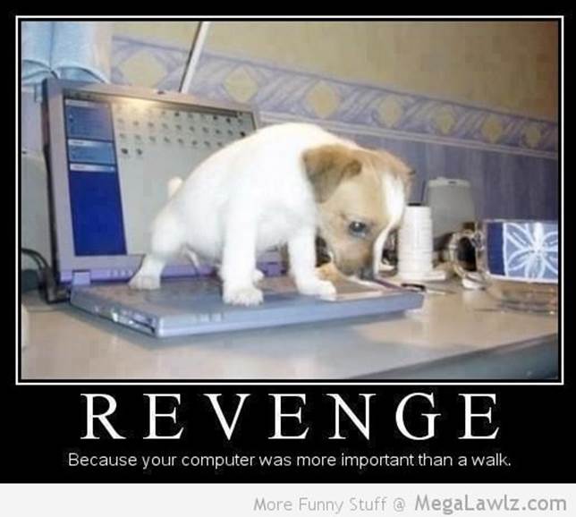 http://megalawlz.com/wp-content/uploads/2013/03/funny-revenge-puppy-dog-pictures1.jpg