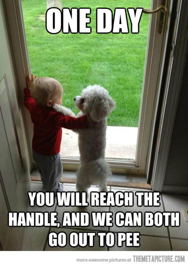 http://www.hilarioustime.com/images/04/Dog-and-baby-friends.jpg