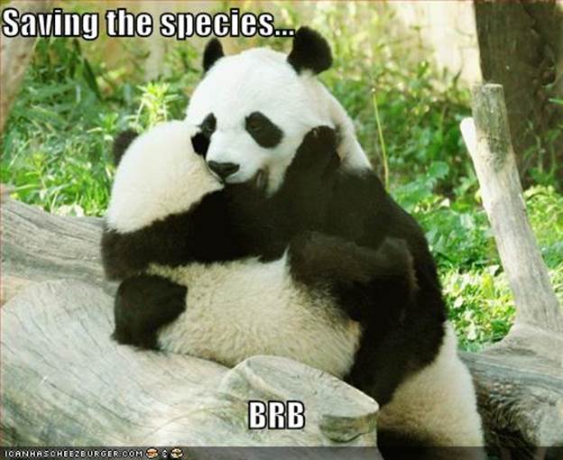 http://animalluverclub.files.wordpress.com/2008/08/funny-pictures-pandas-are-saving-the-species.jpg