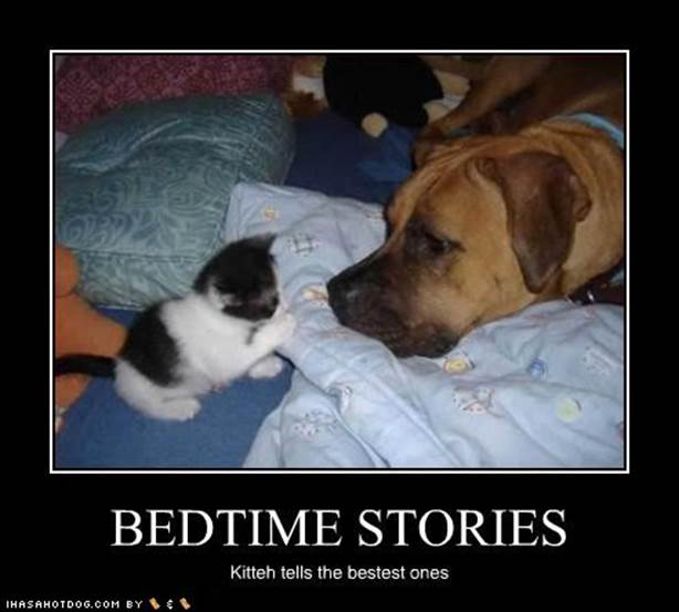 http://i23.photobucket.com/albums/b380/Blood666Red/Humor/Demotivational%20Posters/funny-dog-pictures-bedtime-stories.jpg