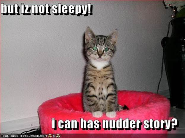 http://i481.photobucket.com/albums/rr173/nimdabew/LOL%20Cats/funny-pictures-kitten-bedtime-story.jpg