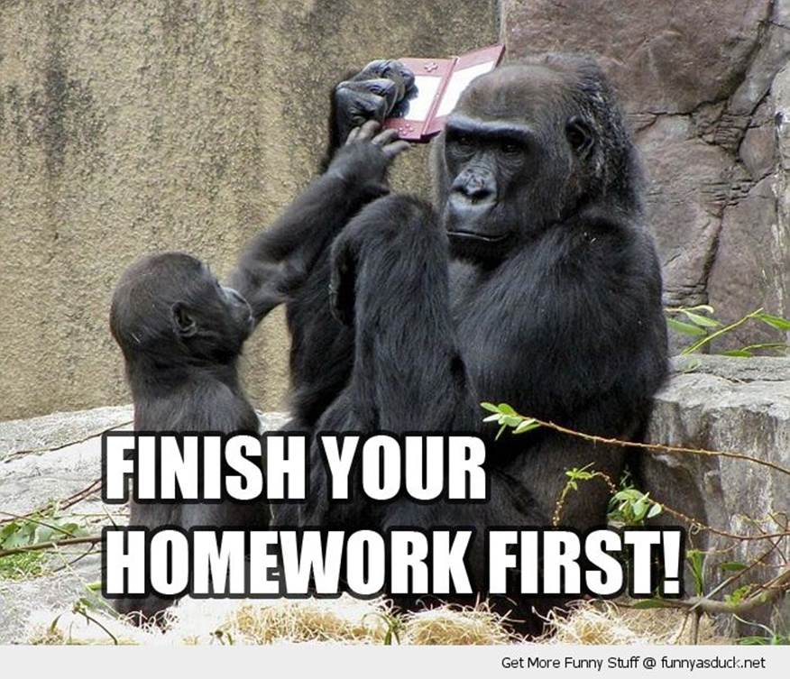 http://funnyasduck.net/wp-content/uploads/2012/12/funny-monkeys-nintendo-ds-video-game-homework-first-dad-kid-pics.jpg