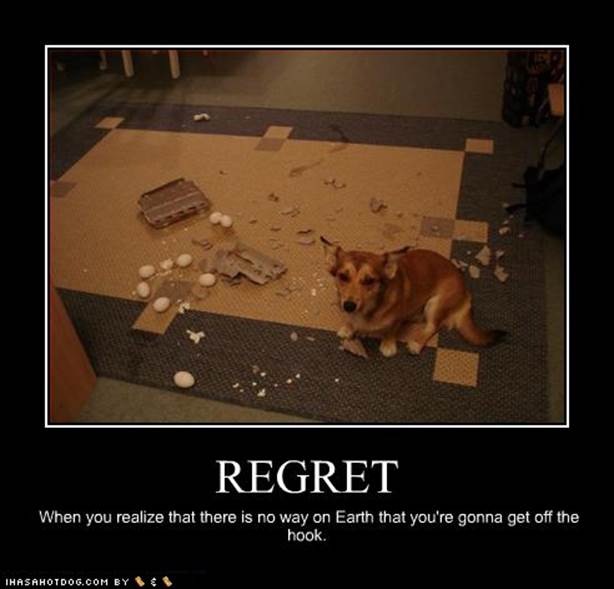 http://funnydank.com/wp-content/uploads/2013/03/funny-pictures-dog-regret-realize.jpg