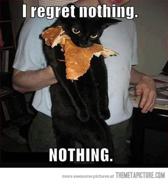 http://themetapicture.com/media/funny-cat-I-regret-nothing.jpg