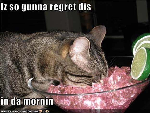 http://img.pr0gramm.com/2010/07/funny-pictures-cat-will-regret-drinking.jpg