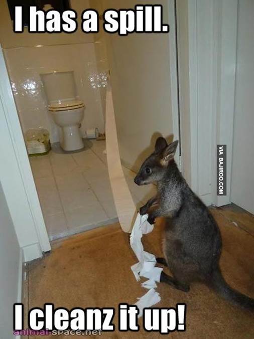 http://www.bajiroo.com/wp-content/uploads/2013/09/funny-kangaroo-baby-with-toilet-paper.jpg