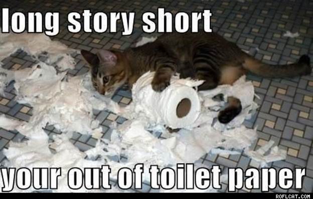 http://www.roflcat.com/images/cats/Long_Story_Short_You_re_Out_Of_Toilet_Paper.jpg