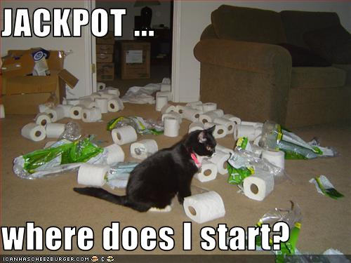 http://www.funnycutestuff.com/wp-content/uploads/2011/11/funny-pictures-cat-toilet-paper.jpg