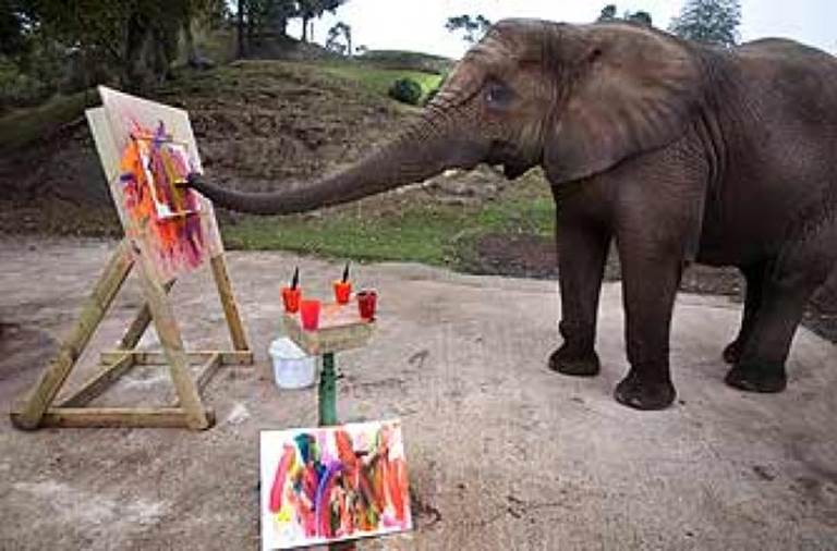 http://goodtoknow.media.ipcdigital.co.uk/111/0000043fa/9523_orh100000w614/funny-animals-funny-animal-pics-animal-pics-painting-elephant.jpg