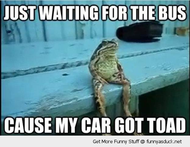 http://funnyasduck.net/wp-content/uploads/2012/10/funny-waiting-on-bus-toad-pics.jpg