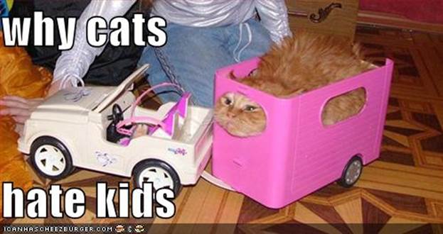 http://media.desura.com/images/groups/1/3/2392/funny-pictures-why-cats-hate-kids.jpg