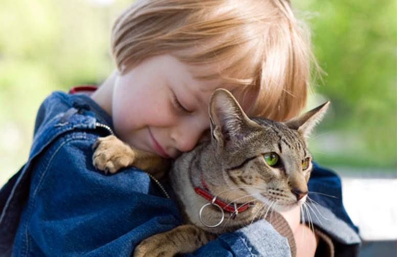 http://www.pet360.com/Content/Images/Cms/child_hugging_cat.jpg