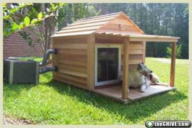 awesome dog houses 5 Being in the dog house isnt always a bad thing (12 Photos)