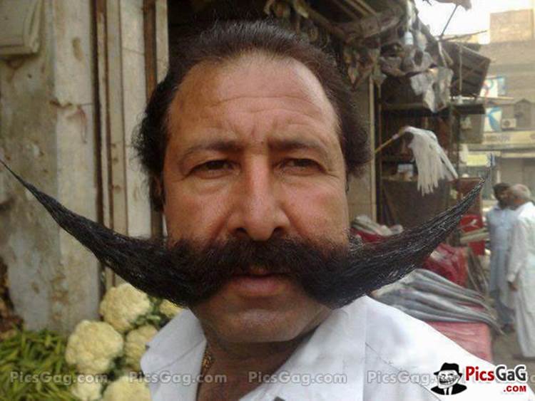 http://www.picsgag.com/wp-content/uploads/2013/07/big-mustache-funny-man-india.jpg