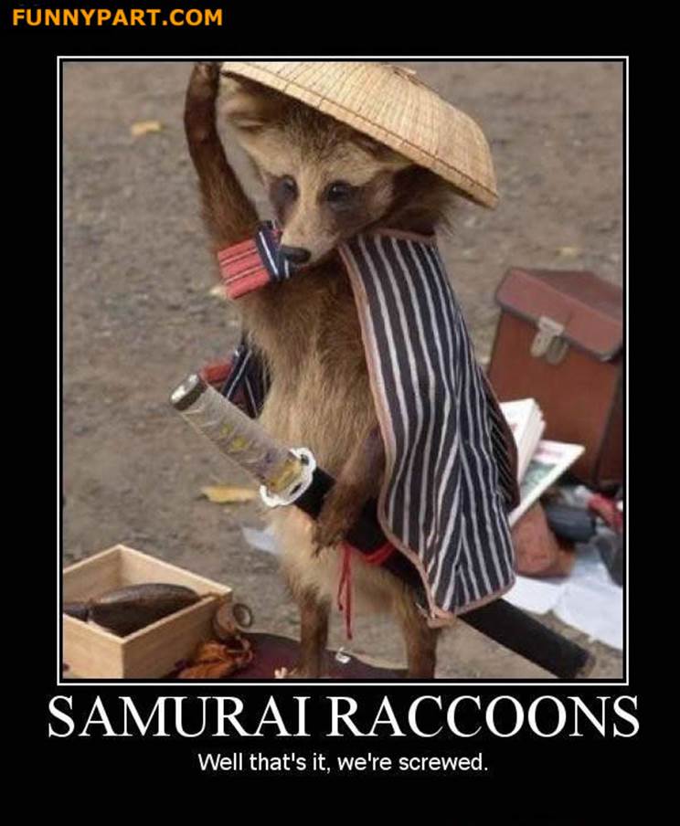 http://funnyfilez.funnypart.com/pictures/FunnyPart-com-samurai_raccoons.jpg