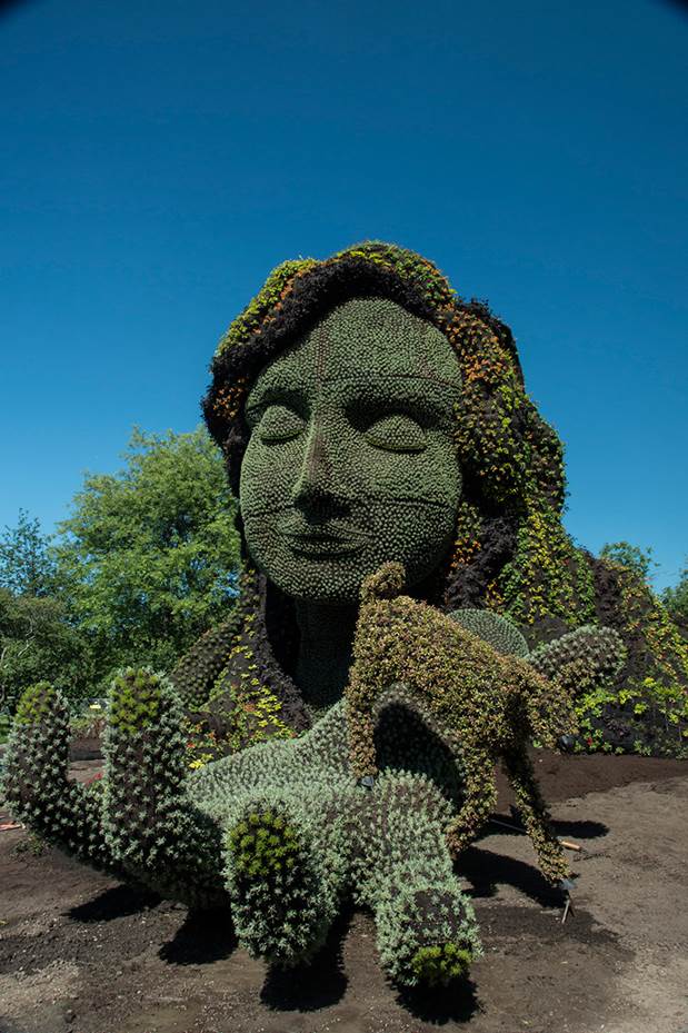 Monumental Plant Sculptures at the 2013 Mosaicultures Internationales de Montréal plants gardening 