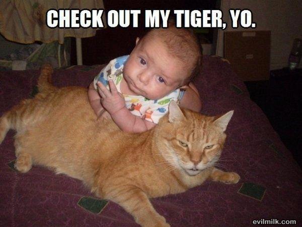 http://jokideo.com/wp-content/uploads/2013/05/Funny-cat-and-baby.jpg