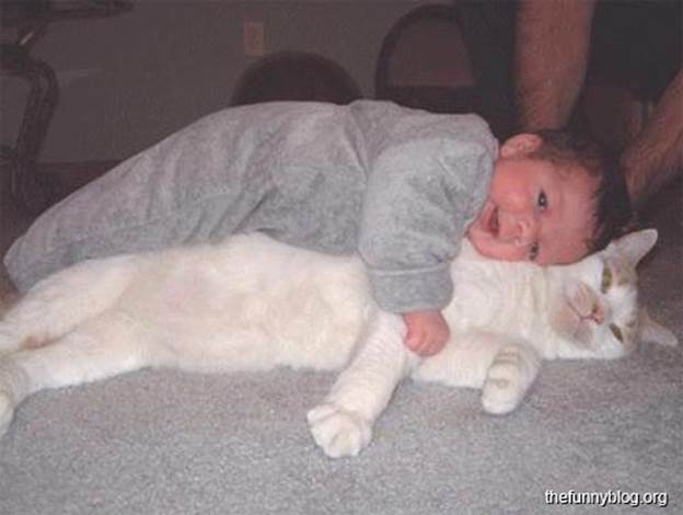 http://www.thefunnyblog.org/img/2012/funny-cat-pictures-happy-baby-photo-lain-on-cat-cute.jpg