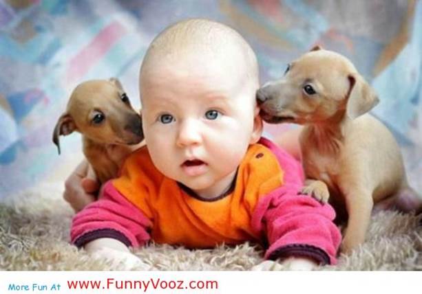 http://www.funnyvooz.com/wp-content/uploads/2012/10/funny_baby_picture_122.jpg