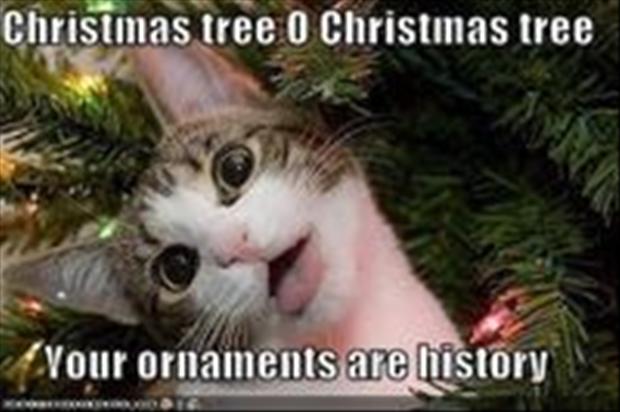http://www.dumpaday.com/wp-content/uploads/2012/12/cat-in-christmas-tree-funny-christmas-pictures.jpg