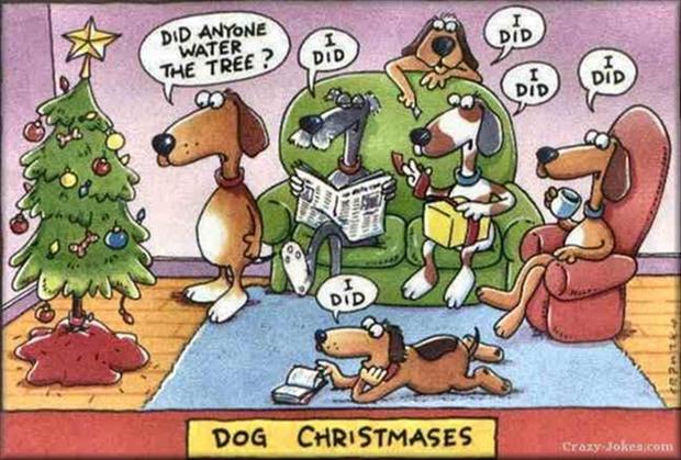 http://www.dumpaday.com/wp-content/uploads/2012/12/dog-waters-christmas-tree-funny-christmas-pictures.jpg