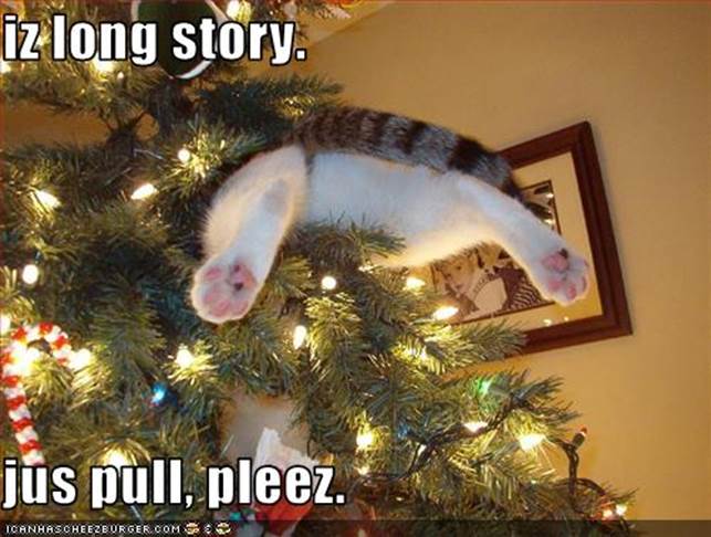 http://2.bp.blogspot.com/_fjygiQyrTZg/TU7Lrrx3ahI/AAAAAAAAAjc/FnJBFLI8-jo/s1600/funny-pictures-cat-is-stuck-in-your-christmas-tree.jpeg