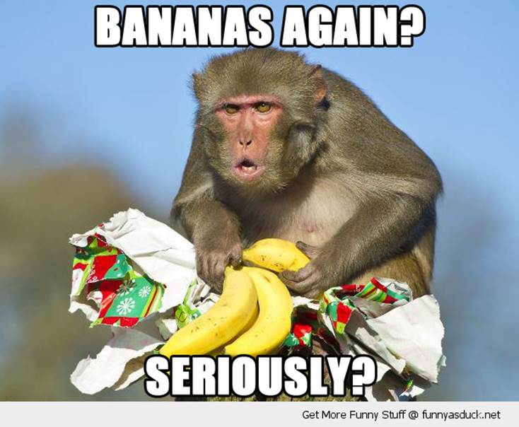 http://funnyasduck.net/wp-content/uploads/2012/12/funny-angry-grumpy-monkey-xmas-christmas-present-bananas-again-seriously-pics.png