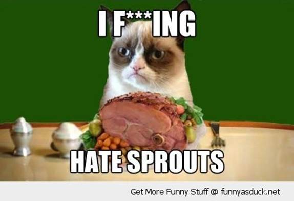http://funnyasduck.net/wp-content/uploads/2012/12/funny-grumpy-angry-cat-xmas-christmas-dinner-hate-sprouts-pics.jpg