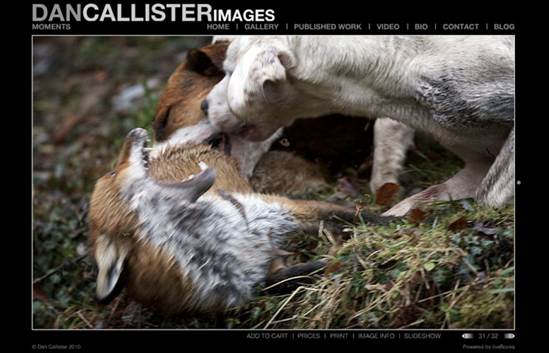 http://blog.dancallister.com/wp-content/uploads/2010/12/callister_fox_hunting_blog_04.jpg