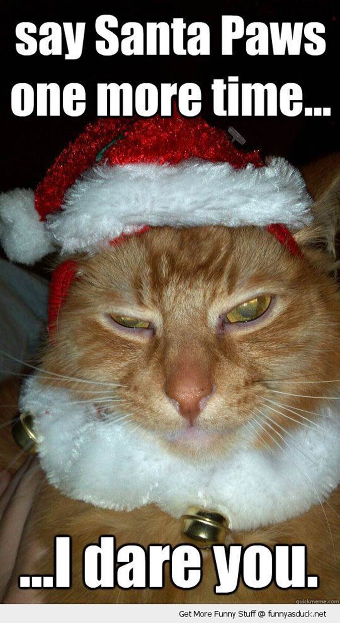 http://funnyasduck.net/wp-content/uploads/2012/12/funny-grumpy-angry-cat-santa-hat-christmas-xmas-say-santa-paws-dare-you-pics.jpg