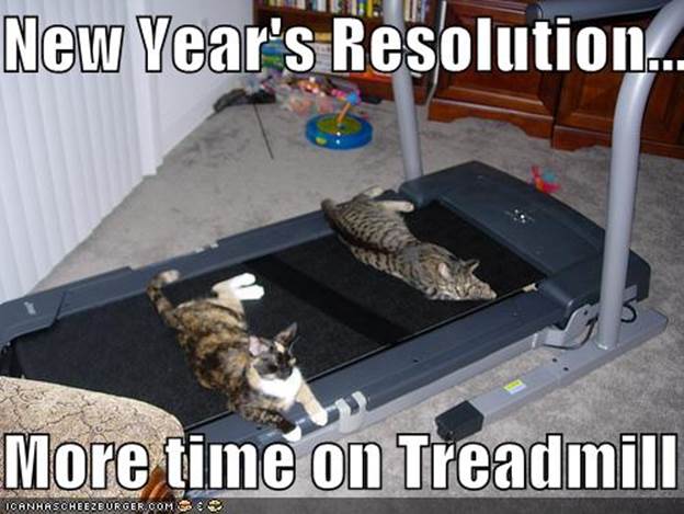 http://www.thefunnyblog.org/img/new%20year%20resolution%20more%20time%20on%20treadmill%20funny%20cat.jpg