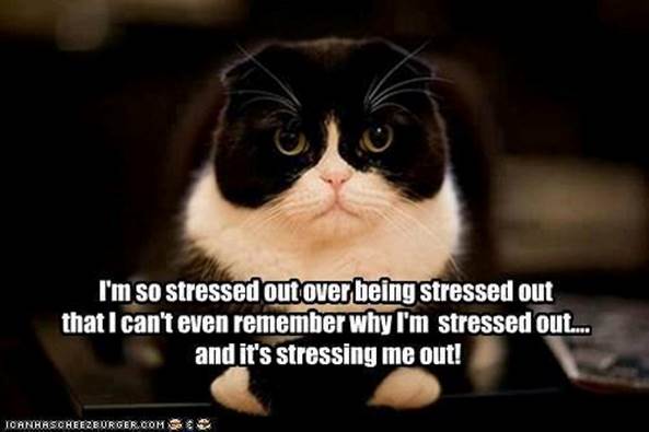 http://humourspot.com/wp-content/uploads/2013/04/Im-so-stressed-out.jpg
