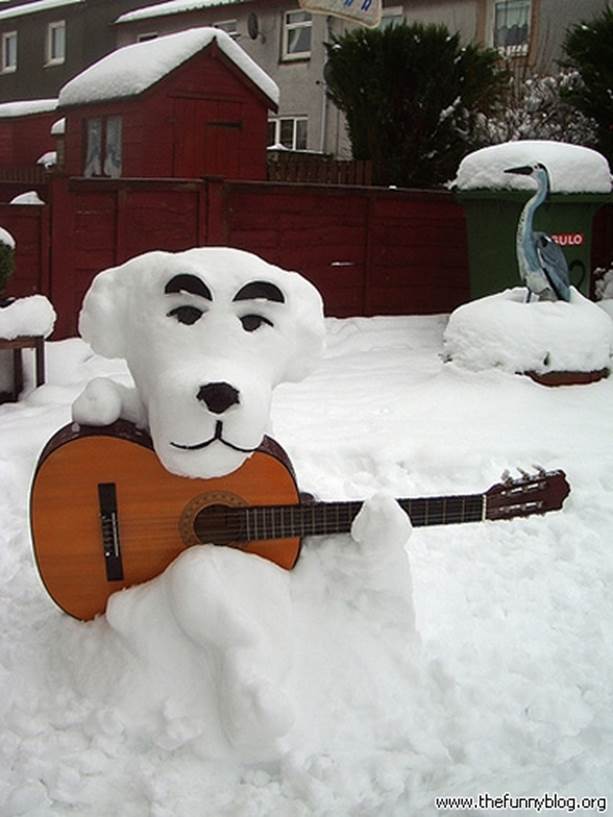 Funny-Snow-Dog