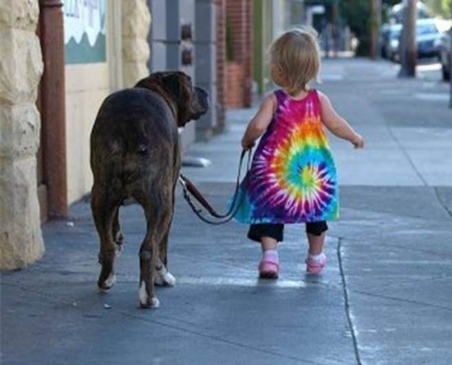 http://funny-pics-fun.com/wp-content/uploads/Funny-Dogs-And-Babies-Best-Friends-Forever-3-320x240.jpg