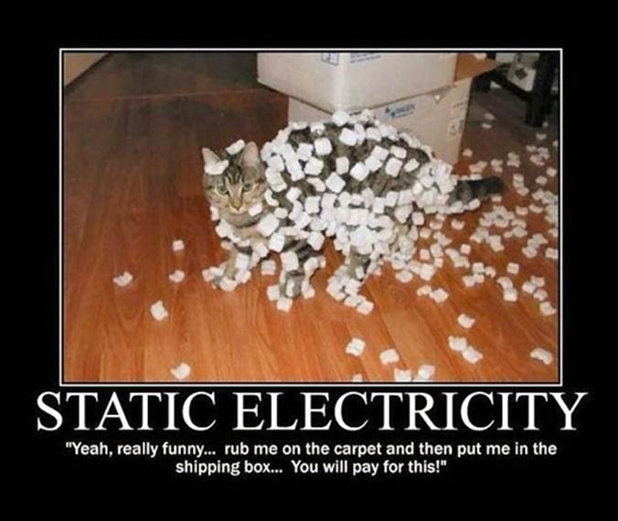 http://cdn.themetapicture.com/media/funny-cat-static-electricity.jpg