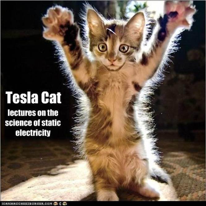 http://chemicalengineeringnews.org/wp-content/uploads/2013/07/funny-cat-pictures-with-captions.jpg