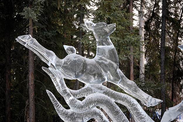 icey21 Cool Ice Sculptures