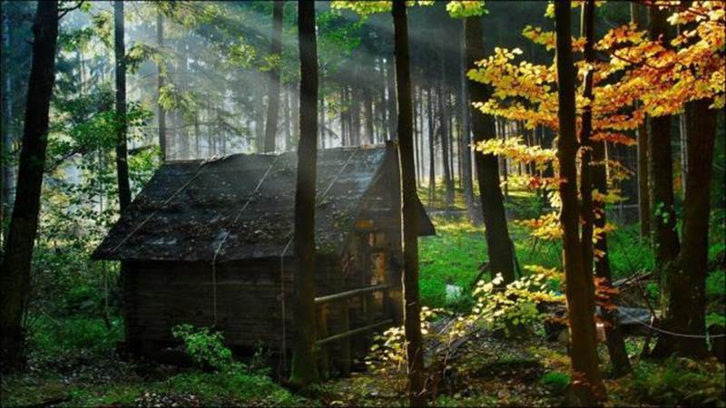 peaceful houses in the woods part2 19 Peaceful houses in the woods {Part 2}