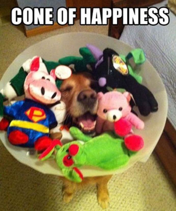 pure happiness pics part4 10 Funny: Pure happiness pics {Part 4}